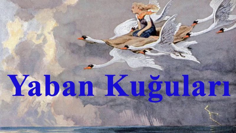 Yaban Kuğuları